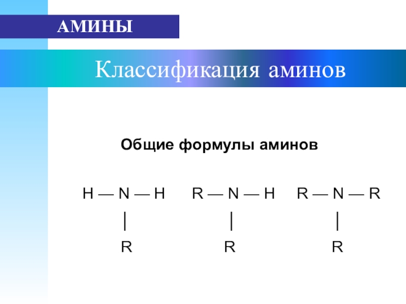 Заполните схему приведите примеры для каждой группы аминов классификация аминов