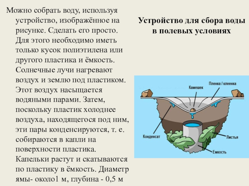 Собрать воду. Обеспечение питанием и водой. Обеспечение питанием и водой доклад. Обеспечение питанием и водой в лесу. Меры по обеспечению пищей и водой краткая характеристика.