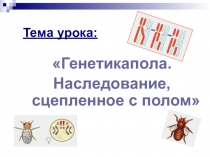 Тема урока: