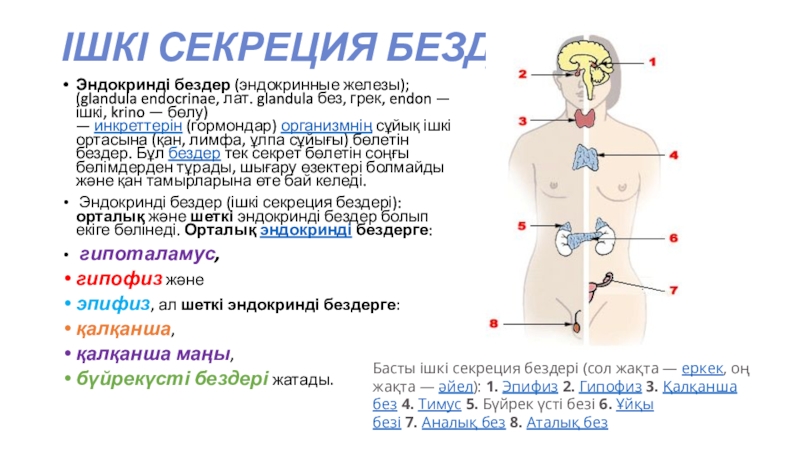 Ішкі секреция бездерінің