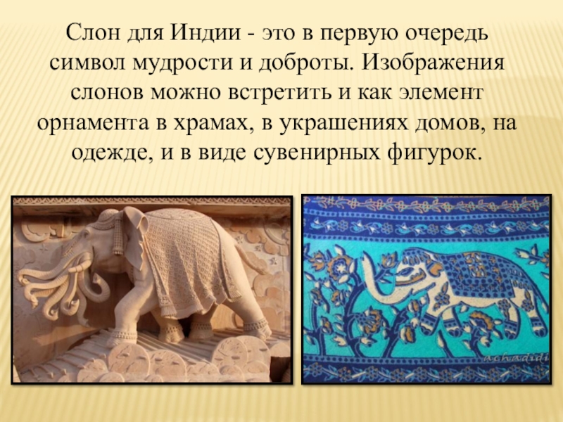 Символ слона значение. Слон символ мудрости величия и непобедимой мощи. Слон-символ мудрости,величия и НК победимой мощи. Слон-символ мудрости величия и непобедимой. Слон символ мудрости.