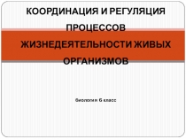 КООРДИНАЦИЯ И РЕГУЛЯЦИЯ ПРОЦЕССОВ ЖИЗНЕДЕЯТЕЛЬНОСТИ ЖИВЫХ ОРГАНИЗМОВ биология 6