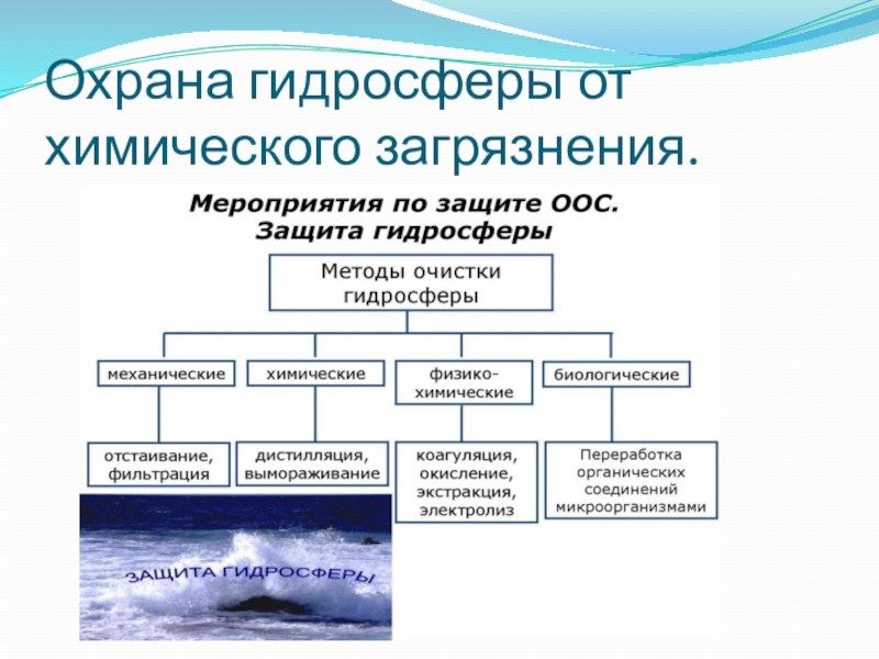 Охрана гидросферы от химического загрязнения презентация