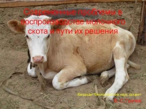 Современные проблемы в воспроизводстве молочного скота и пути их решения