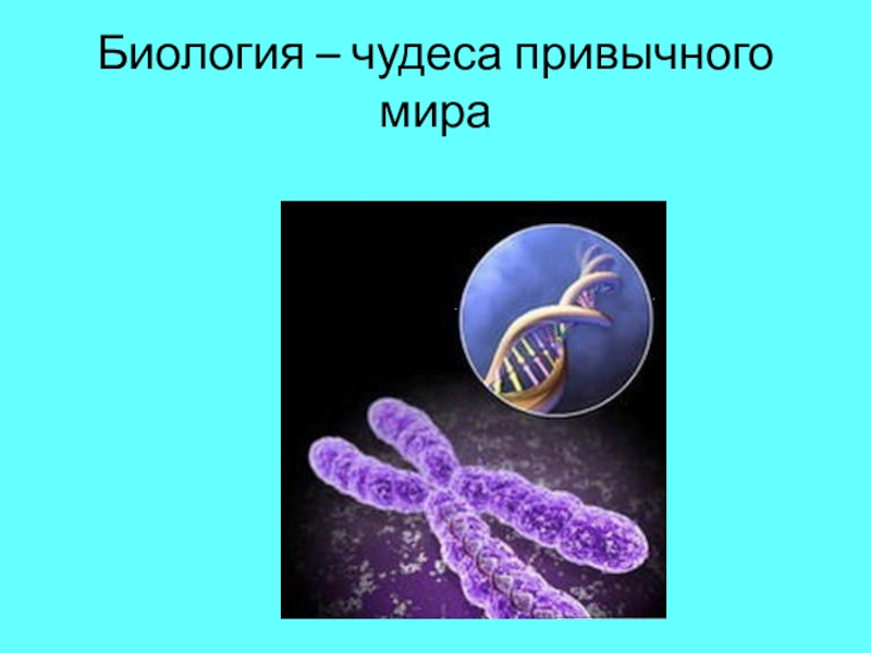 Биология – чудеса привычного мира