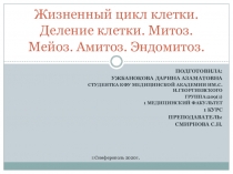 Жизненный цикл клетки. Деление клетки. Митоз. Мейоз. Амитоз. Эндомитоз