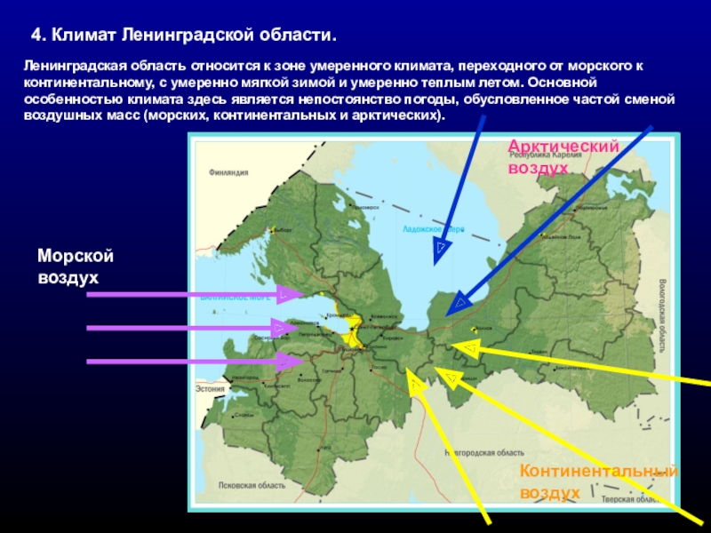 Презентация о ленинградской области