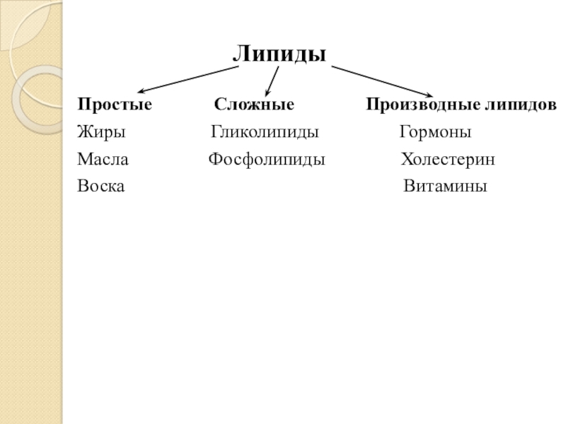 Простые липиды жиры. Классификация липидов структура. Классификация липидов простые и сложные. Классификация жиров простые и сложные. Химическая классификация липидов.