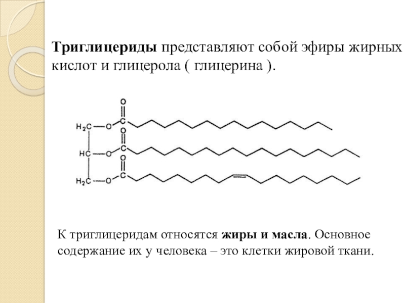 Что такое триглицериды. Триглицериды строение. Схема строения триглицеридов. Триглицериды жирных кислот. Структура триглицеридов.