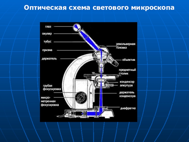 Схема работы микроскопа