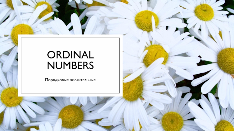 Презентация Ordinal Numbers