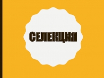 Селекция
