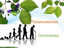 Размножение