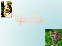 Охрана природы