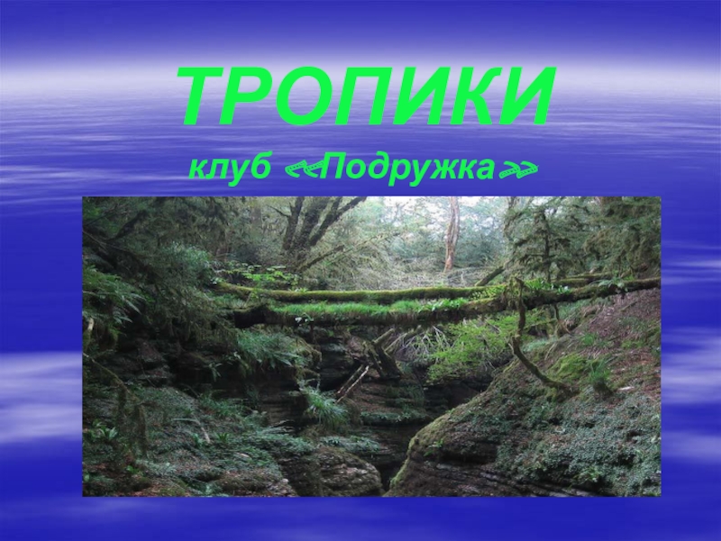 ТРОПИКИ клуб Подружка