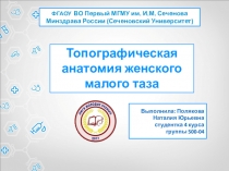 Топографическая анатомия женского малого таза
В ыполнила : Полякова Наталия