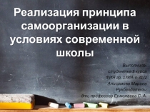 Реализация принципа самоорганизации в условиях современной школы