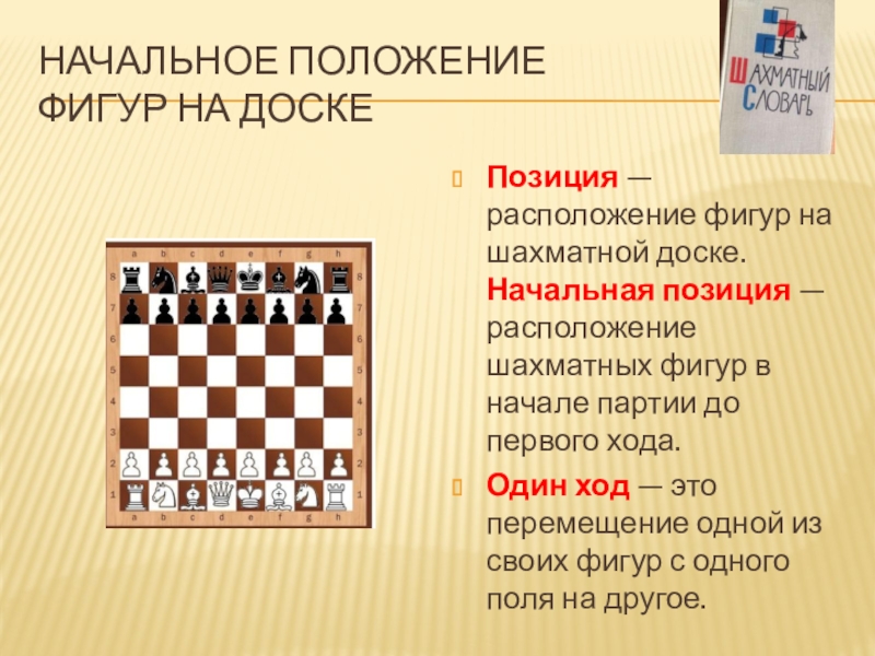Как правильно расставляются шахматы на шахматной доске фото