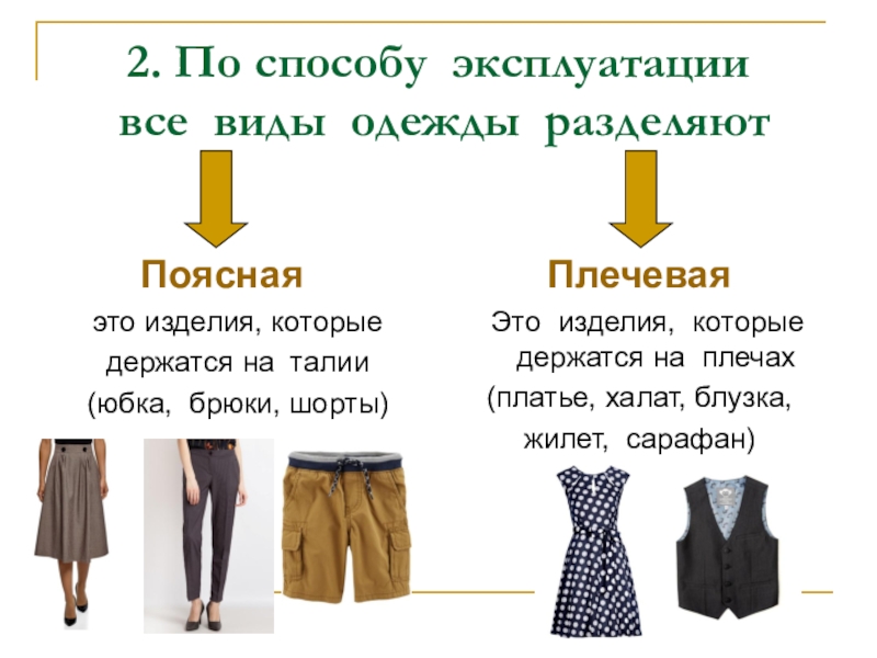 Виды одежды для девушек список