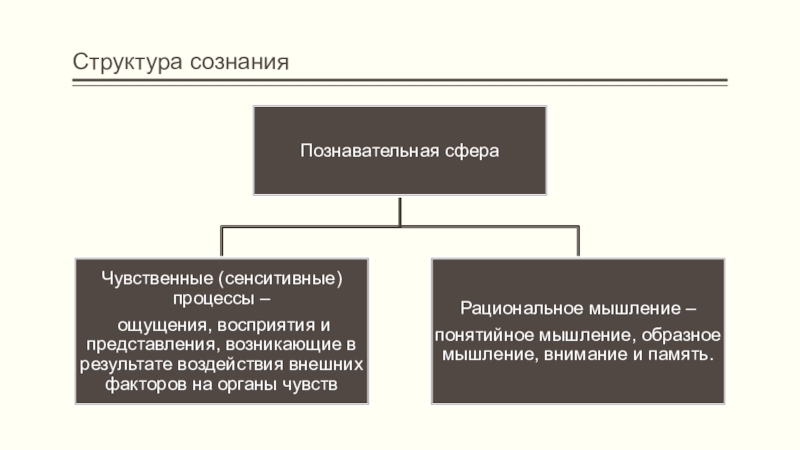 Основы сознания. Структура разума. Структура знания. Структура сознания по д. Дубровскому. Тэтчер структура сознания.