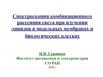 Спектроскопия комбинационного рассеяния света при изучении липидов в модельных