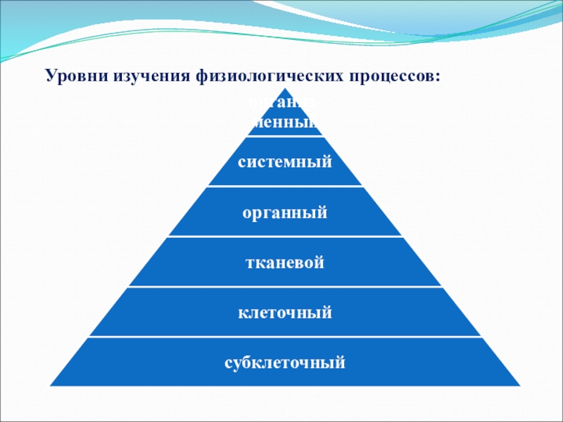 Уровень изучения. Уровни изучения физиологических процессов. Уровни изучения. Уровни изучения информации.. Укажите. Уровень изучения и физиологического процесса.