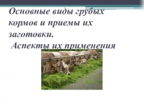 Основные виды грубых кормов и приемы их заготовки. Аспекты их применения