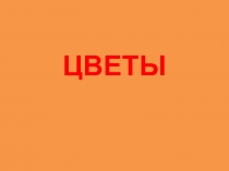 ЦВЕТЫ
