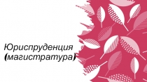 Юриспруденция (магистратура)