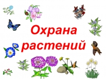 Охрана растений