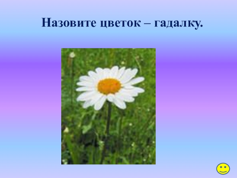 Зовут цветов. Как зовут цветочки. Растение означает единство. Как называется середина цветка у ромашки.