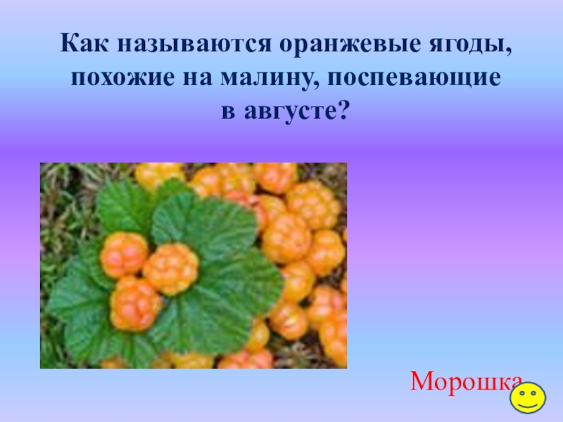 Желтая похожа на малину. Жёлтая ягода похожая на малину. Оранжевая ягода похожая на малину. Ягода похожая на морошку. Как называются оранжевые ягодки.