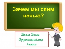 Зачем мы спим
ночью?