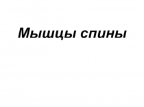 Мышцы спины