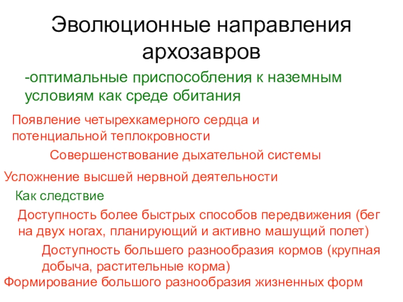 Эволюция теплокровность. Причины появления теплокровности. Эволюционистское направление.. Направление эволюции МИКРОМАКРО кратко.