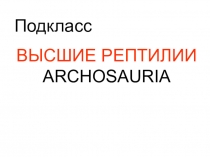 Подкласс
ВЫСШИЕ РЕПТИЛИИ ARCHOSAURIA