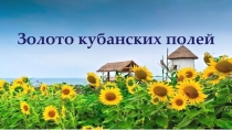 Золото кубанских полей