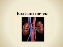 Болезни почек