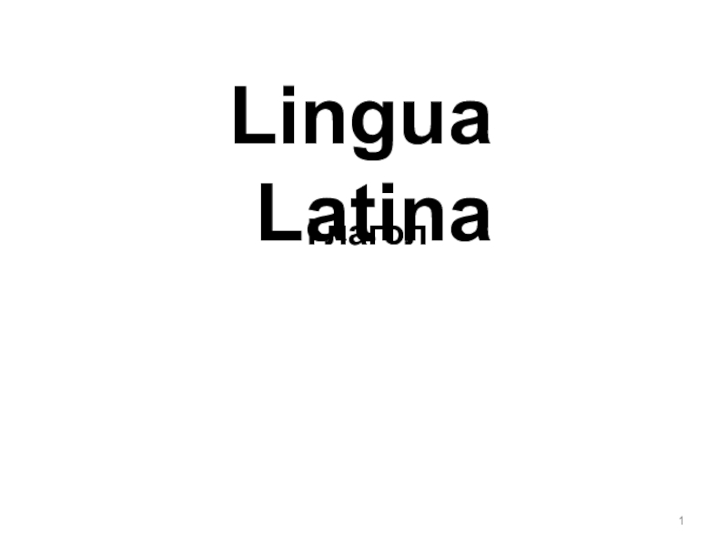 Презентация 1
Lingua Latina
Глагол