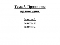 Тема 3. Принципы правосудия