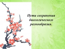 Пути сохранения биологического разнообразия