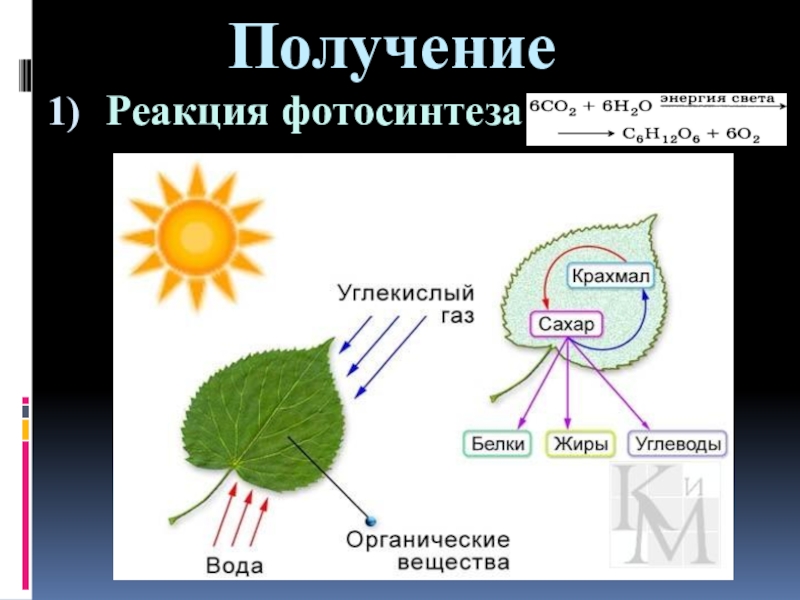 Преобразование энергии света при фотосинтезе схема