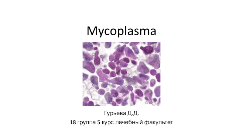 Презентация Mycoplasma