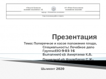 Презентация