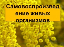 Самовоспроизведение живых организмов