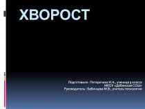 Хворост