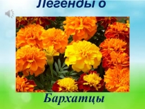 Легенды о цветах