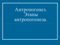 Антропогенез. Этапы антропогенеза