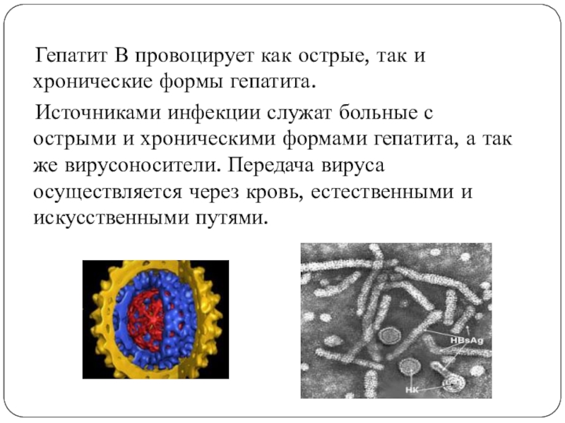 Источником инфекции при гепатите а является. Формы вирусов. Гепатит презентация. Формы гепатита.