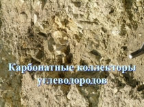 Карбонатные коллекторы углеводородов